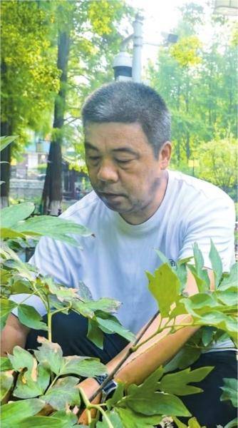 传：农民工长成“双料”园长冰球突破豪华版app梅复(图1)